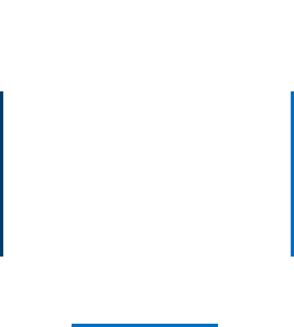 Our Team